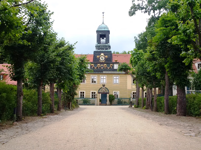 Villenzugang mit geschnittenen Linden.